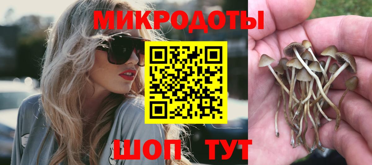 Псилоцибиновые грибы GOLDEN TEACHER Минеральные Воды